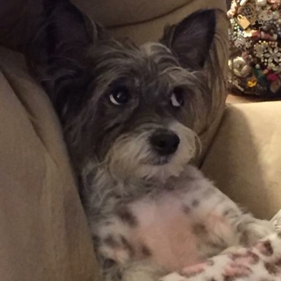 I give free shares for ♥️ - Picture 4 of 9